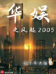 华娱之2000小说