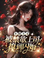 不婚主义小说完结版