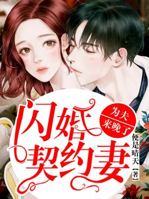 闪婚锲约妻:为夫来晚了